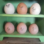 Semesterbostad Perfect In Normandy - New Beginnings Barn