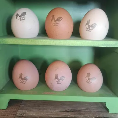 Дом отдыха Perfect In Normandy - New Beginnings Barn