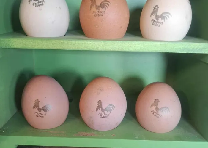 Prázdninový dům Perfect In Normandy - New Beginnings Barn